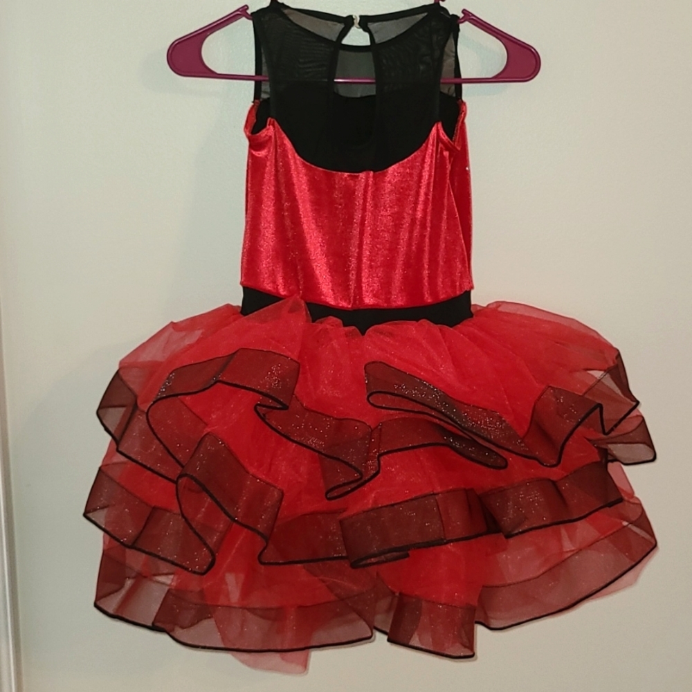Beautiful Performance Dress - Picture 2 of 10